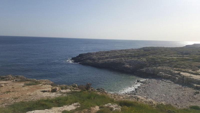 B&B Casa Fiore Polignano a Mare Eksteriør billede